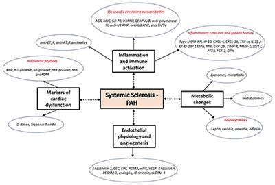 Biomarkers for Pulmonary Vascular Remodeling in Systemic Sclerosis: A Pathophysiological Approach